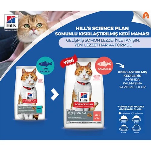 Hills Science Plan Somonlu Kısırlaştırılmış Yetişkin Kedi Maması 8 KG