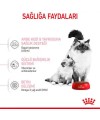 Royal Canin Babycat Yavru Kedi Maması 2 KG