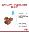 Royal Canin Babycat Yavru Kedi Maması 2 KG