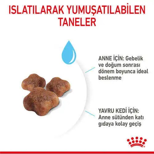 Royal Canin Babycat Yavru Kedi Maması 2 KG