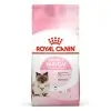 Royal Canin Babycat Yavru Kedi Maması 2 KG Royal Canin Babycat Yavru Kedi Maması 2 KG